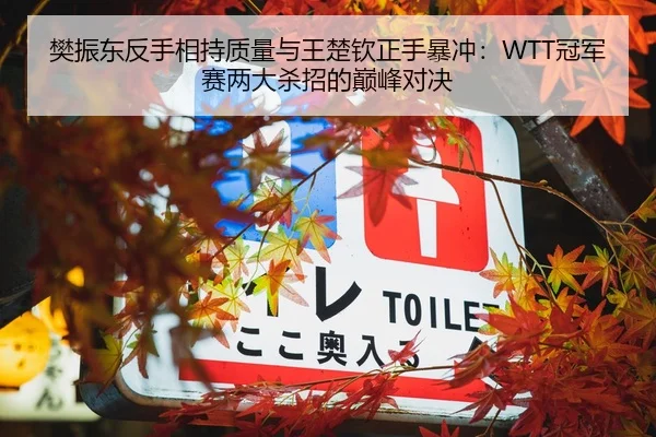 樊振东反手相持质量与王楚钦正手暴冲：WTT冠军赛两大杀招的巅峰对决