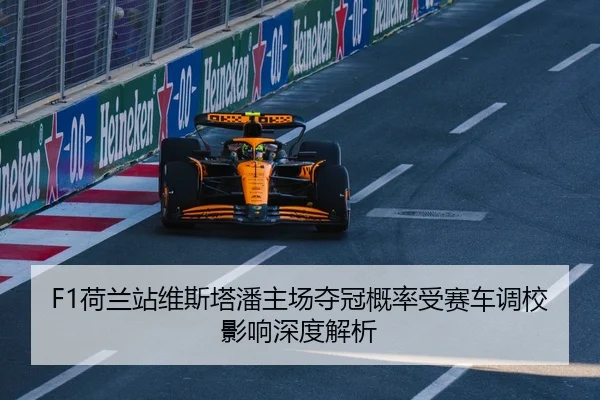 he-lan-zhan-wei-si-ta-pan-zhu-chang-duo-guan-gai-lv-shou-sai-che-diao-xiao-ying-xiang-shen-du-jie-xi-2-827.jpg