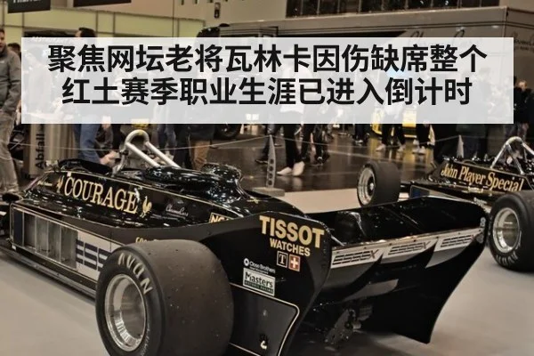 聚焦网坛老将瓦林卡因伤缺席整个红土赛季职业生涯已进入倒计时